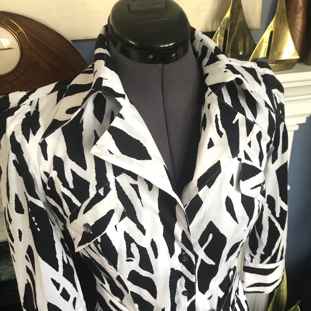 Diane Von Furstenburg Roberto printed shirt dress